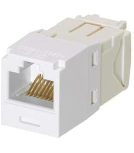 Amazon.com: Panduit Corporation Cat6 SP688E-C Modular Plug